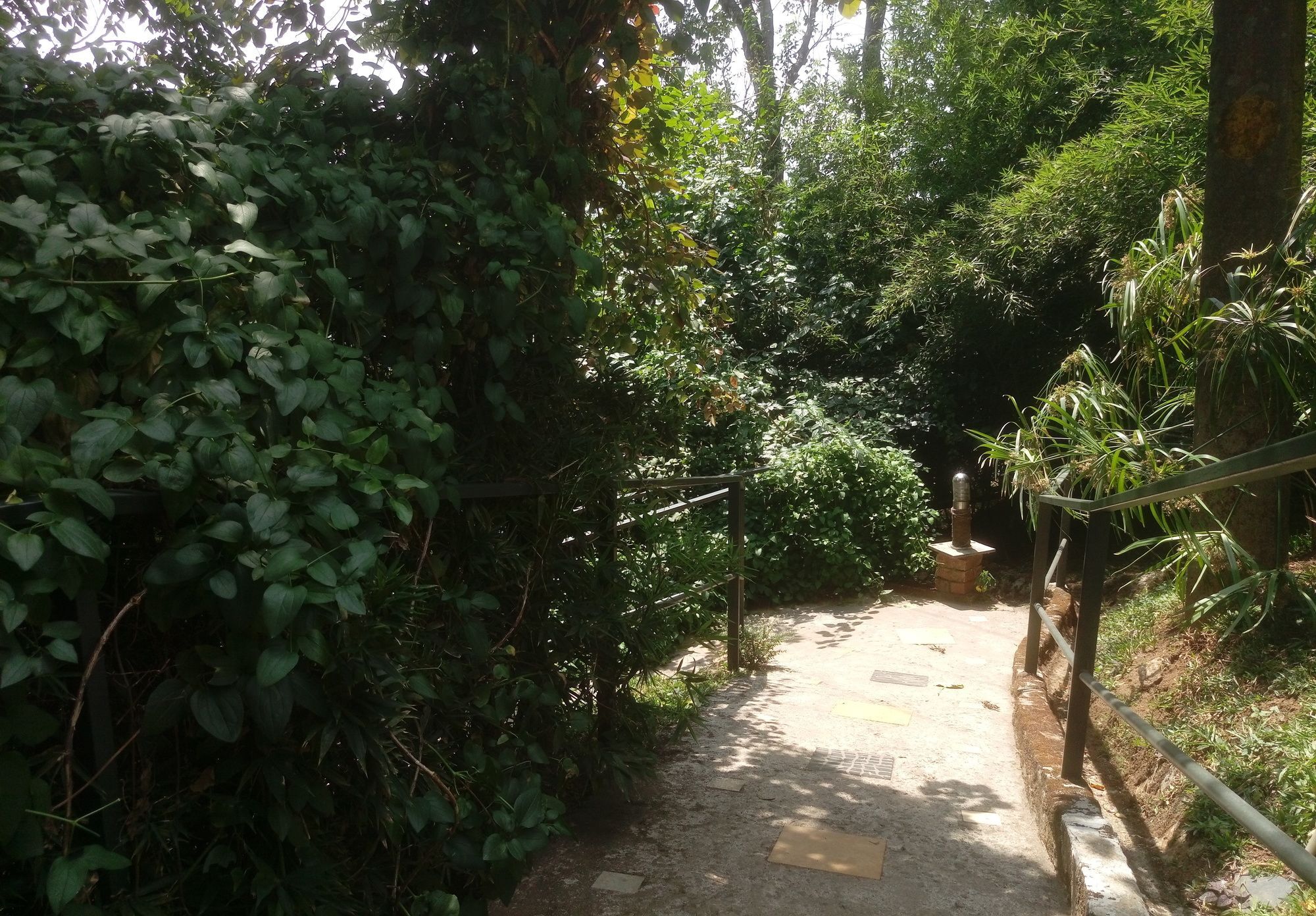 Hotel Spicetree Munnar Chinnakanal Zewnętrze zdjęcie